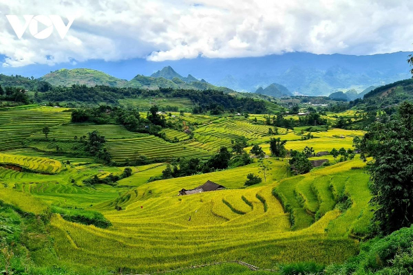 7D6N Magical Mu Cang Chai & Stunning Sapa Tour - photo 24